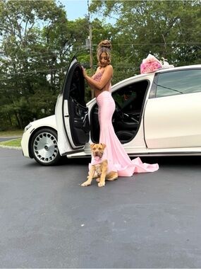 Elegant Pink Strapless Prom gown
